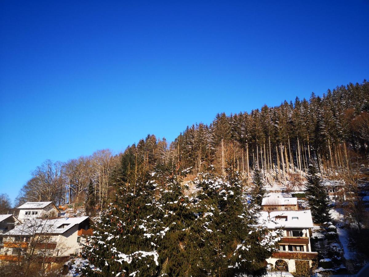Ferien Am Wald Apartment Baiersbronn Exterior photo